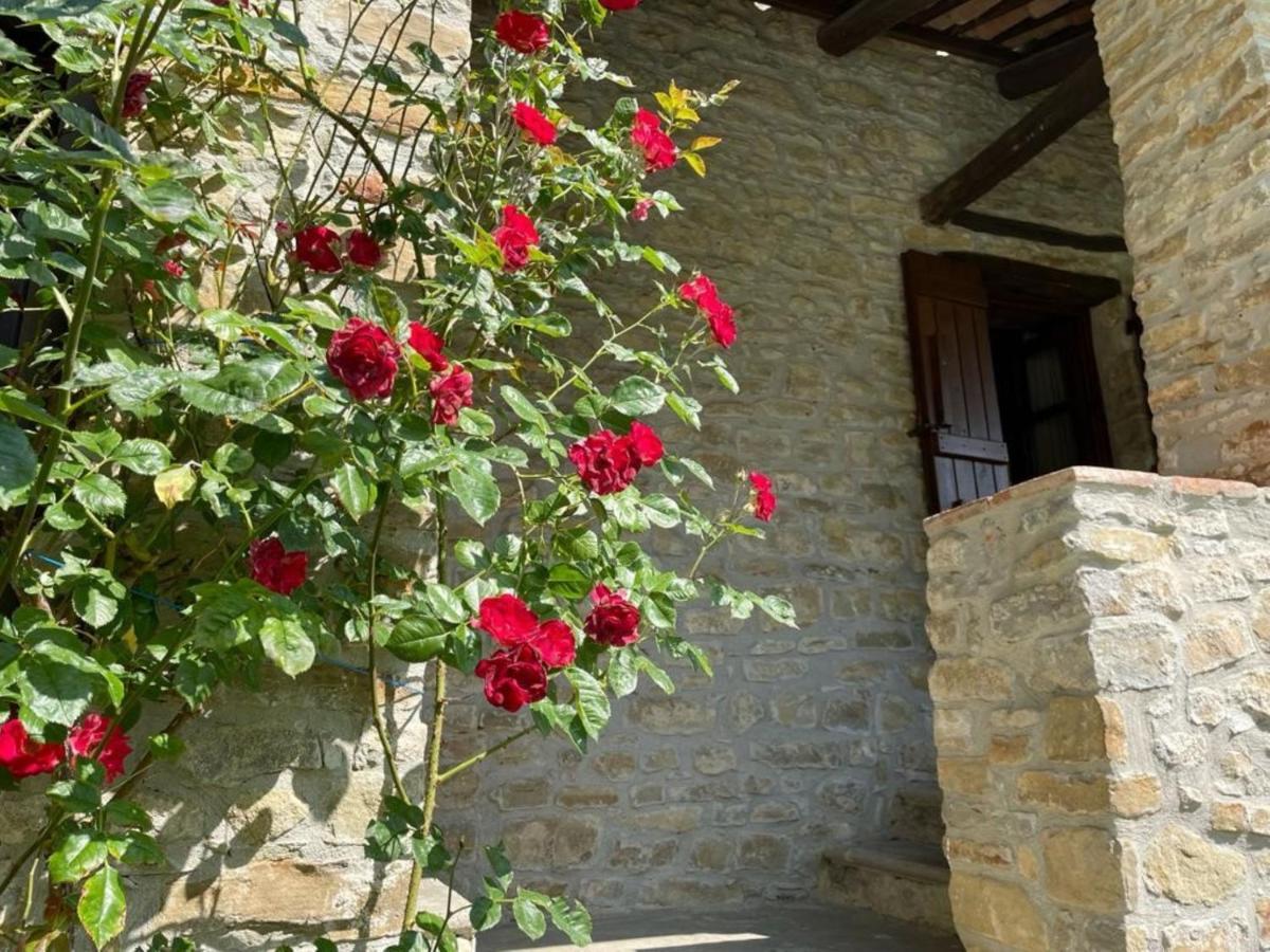 Cascina Manzoni Appartamenti Bossolasco Eksteriør billede